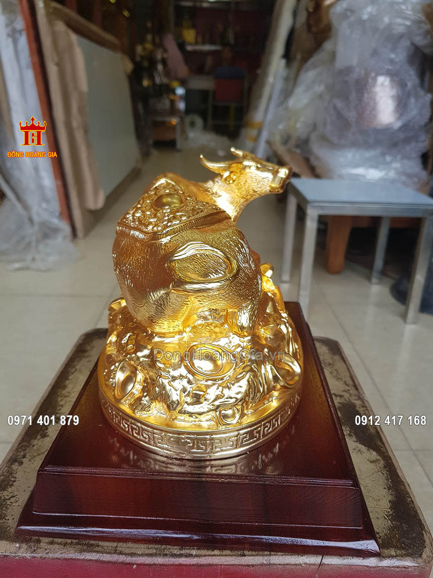 Hình ảnh phía đuôi của con trâu